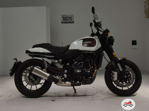 Мотоцикл HARLEY-DAVIDSON X500 2023, белый фото 2